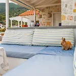 Fotis *