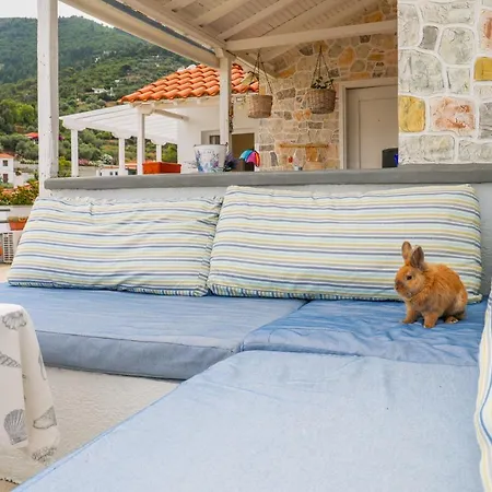 Fotis *